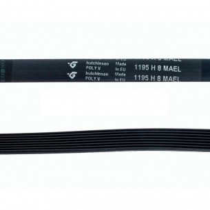 Correa Lavadora 1195 H8 MAEL