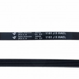 Correa Lavadora 1161 J5 MAEL
