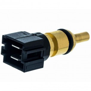 Sonda Termostato Caldera...