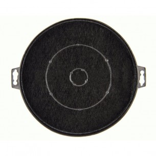 Filtro Carbon Campana... 2