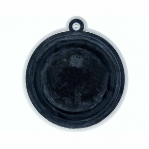 Membrana Calentador... 2