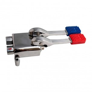 Grifo de pie con dos...