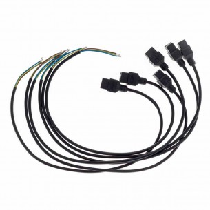 Conector AMP con cable 3...