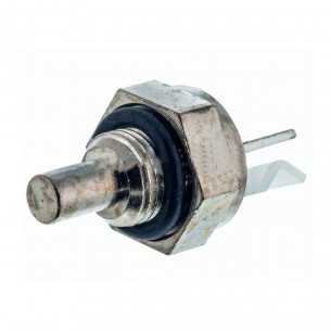 Sonda Temperatura Caldera... 2