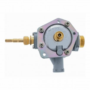 Cuerpo Agua Calentador...