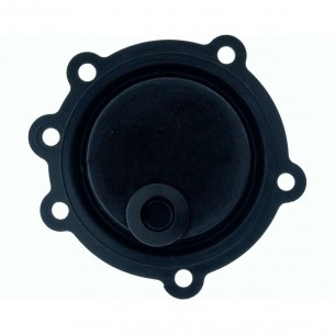 Membrana Calentador Beretta...