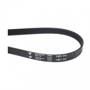 Correa Secadora 1951 PH 2