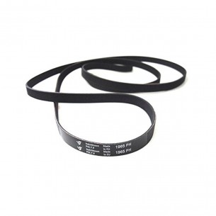 Correa Secadora 1965 PH