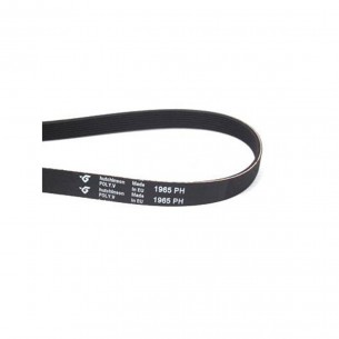 Correa Secadora 1965 PH 2