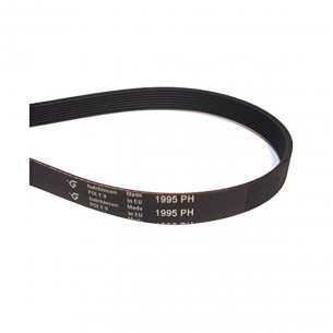 Correa Secadora 1995 PH... 2