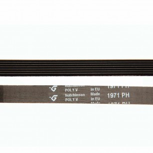 Correa Secadora 1971 PH