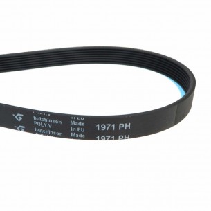 Correa Secadora 1971 PH 2