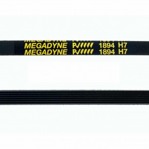 Correa Secadora  1894 H7