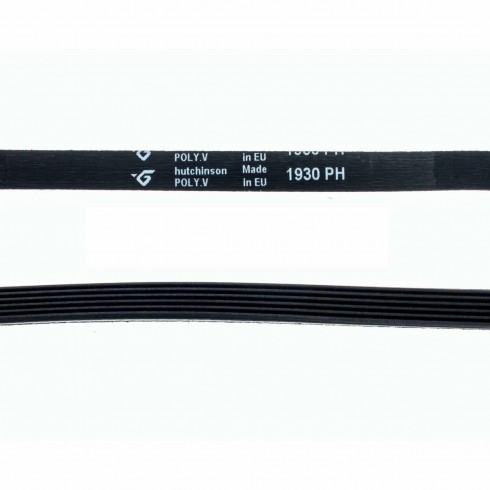 correa secadora 1930 ph