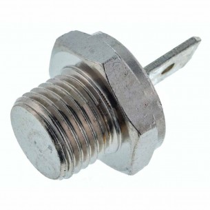 Sonda Temperatura Caldera...