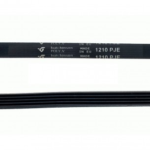 Correa Lavadora  1210 PJE