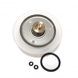 Membrana Caldera Calentador... 2